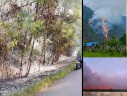Martinus Dumupa: Dilarang Keras Bakar Lahan di Jalur Trans Nabire-Dogiyai- Deiyai-Paniai, Jaga Warisan Alam Ciptaan Tuhan
